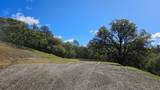 14576 Ballantree Lane - Photo 10