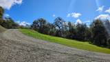 14576 Ballantree Lane - Photo 12