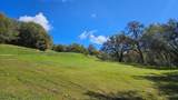 14576 Ballantree Lane - Photo 7