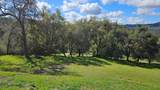 14576 Ballantree Lane - Photo 5