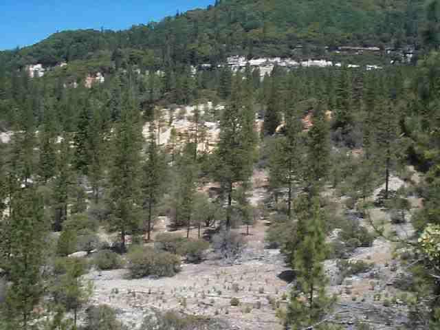 20881 Chalk Bluff Road - Photo 1