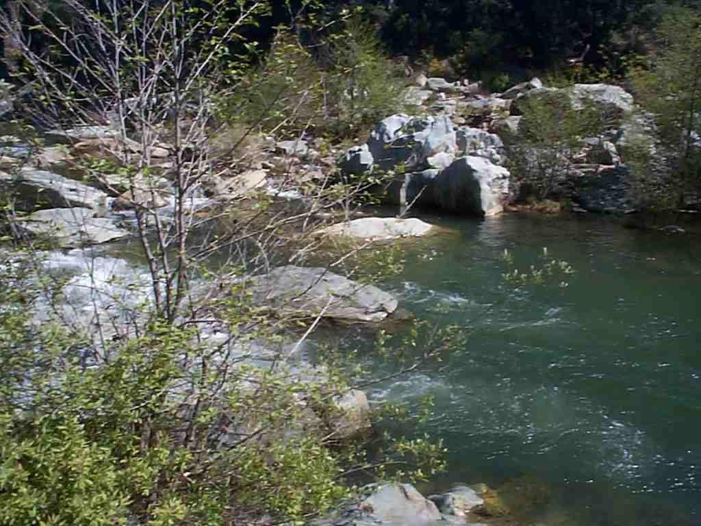0-0101 Nimshew Road - Photo 1