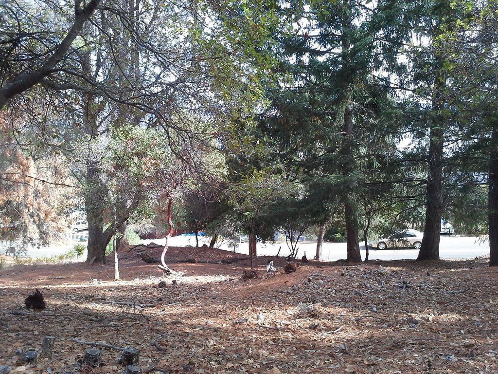 8293 N. Heights Drive - Photo 1
