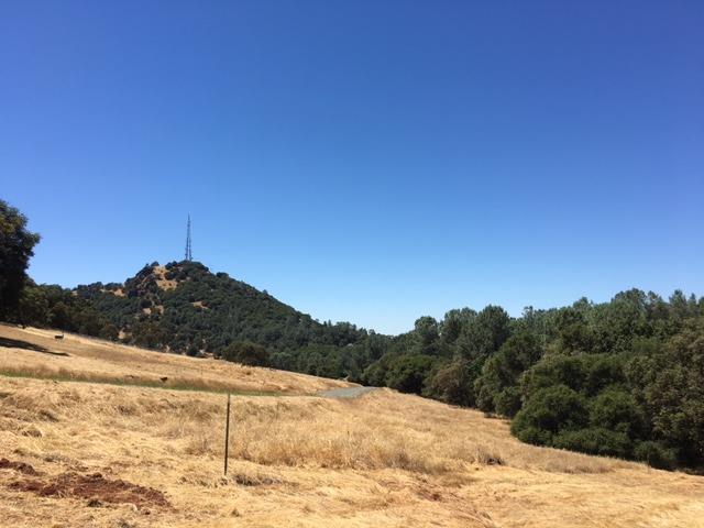 8820 Lauren Lane - Photo 1