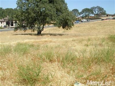 5021 Da Vinci Drive - Photo 1