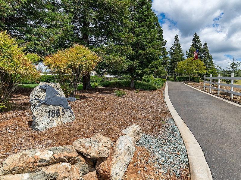 1865 Lexi Way - Photo 1