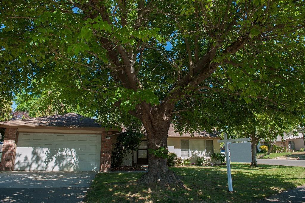 4736 Rustic Road - Photo 1
