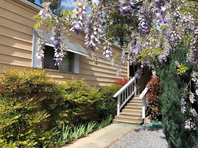 10143 Daisy King Drive - Photo 1