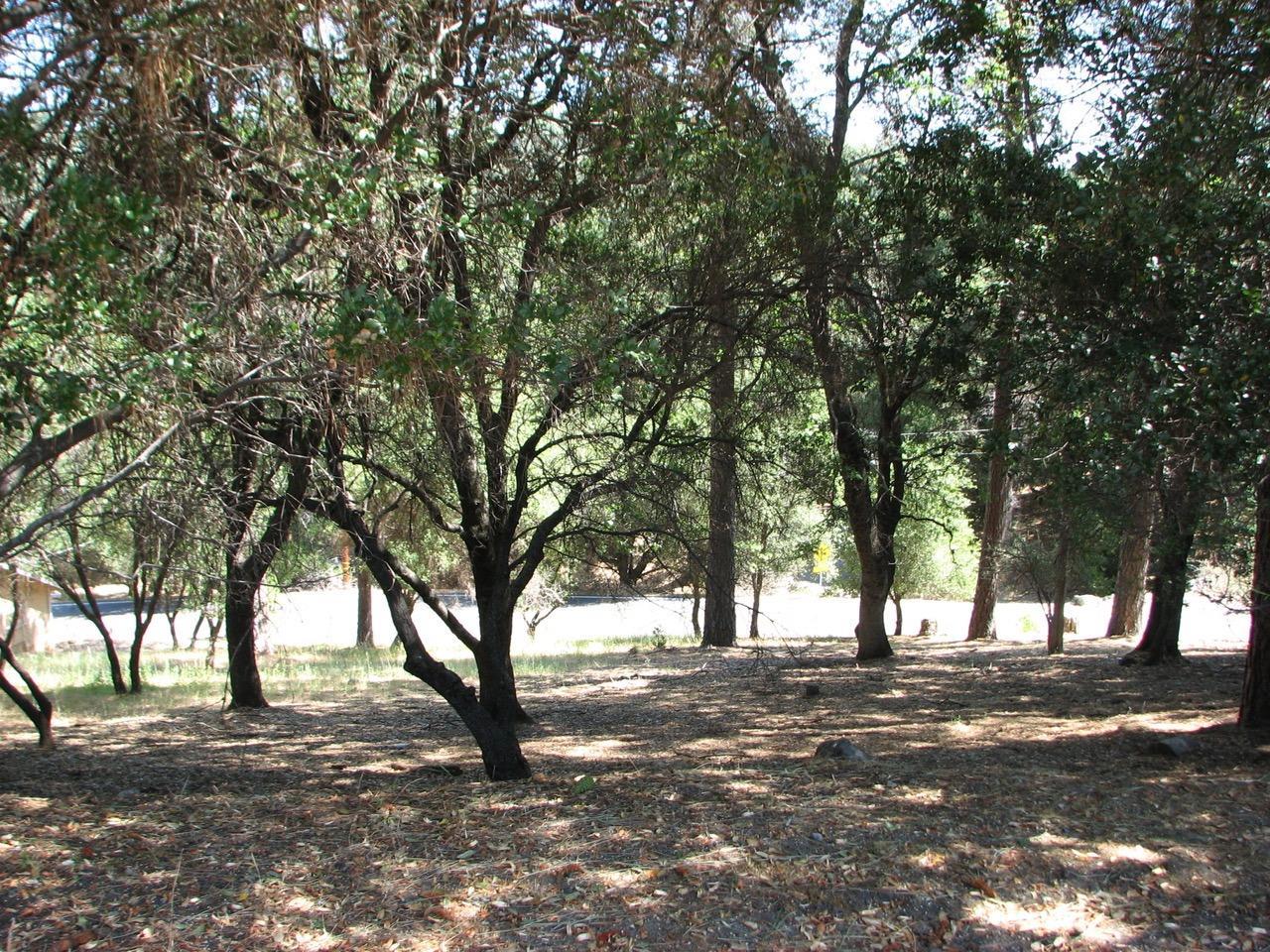 20438 Pine Mountain - Photo 1