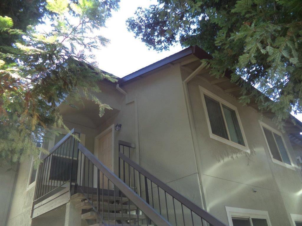 133 Luna Grande Circle - Photo 1