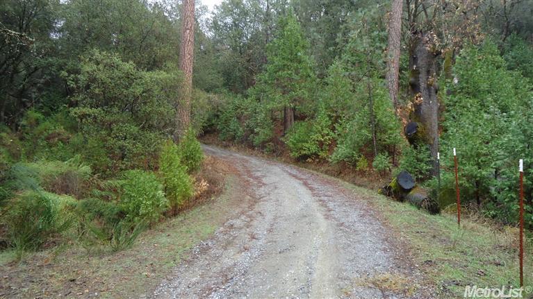 5563 Vacation Boulevard - Photo 1