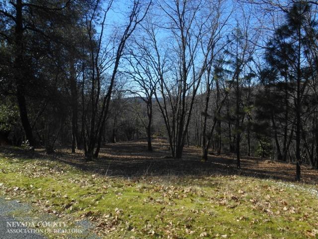 16866 Meyer Lane - Photo 1