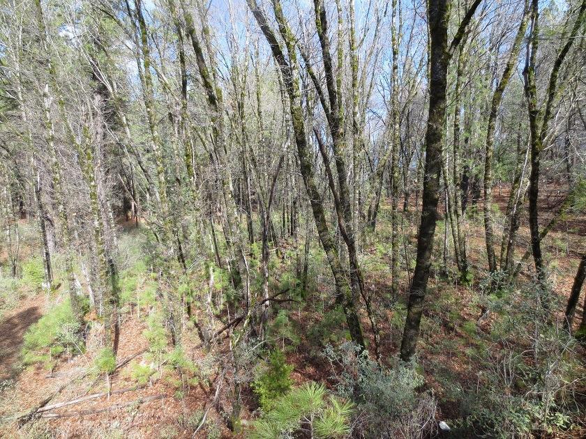 12495 Hidden Valley - Photo 1