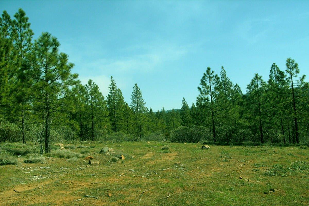 0-36 Ponderosa Way - Photo 1