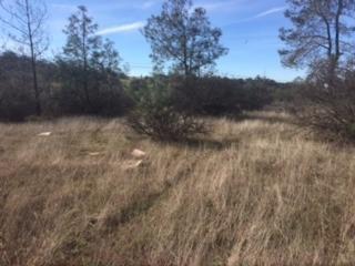 2021 Green Valley Road - Photo 1