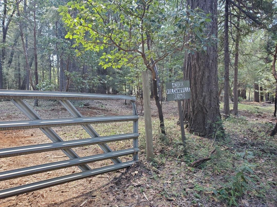 4300 Volcanoville Road - Photo 1