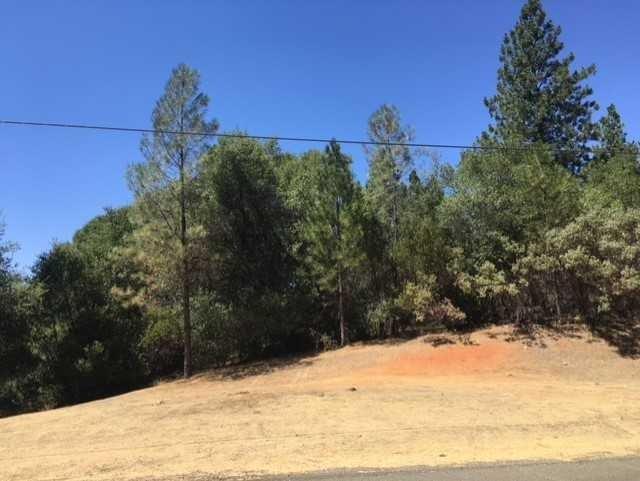 6900 Bertone Drive - Photo 1