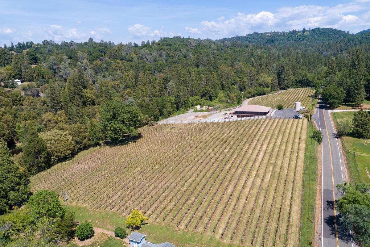 3625 Omo Ranch Road - Photo 1