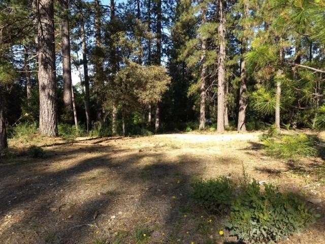 651 Chief Kelly Drive - Photo 1