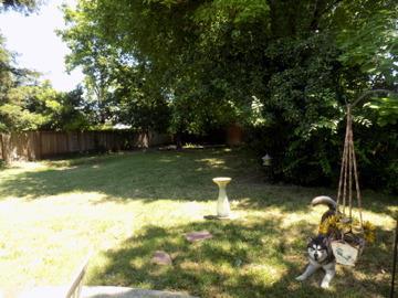 3630 Country Club Lane - Photo 1
