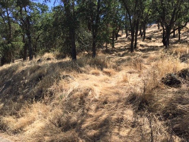 3265 Botfuher Road - Photo 1