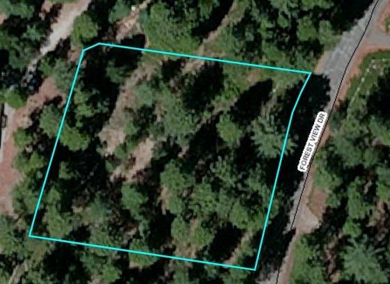 5263 Forest View Drive - Photo 1