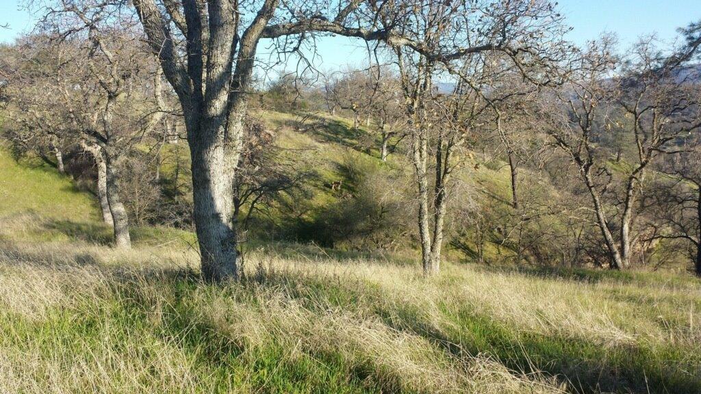 0 Crestview Drive - Photo 1
