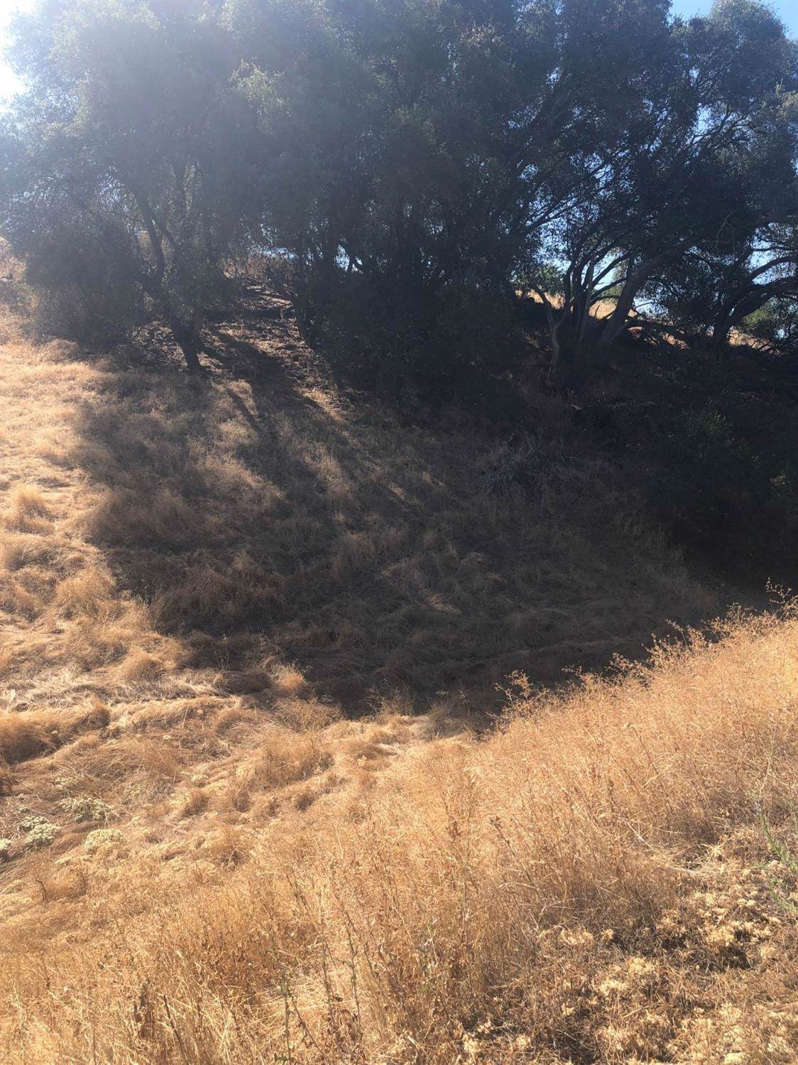 4683 Roadruner Drive - Photo 1