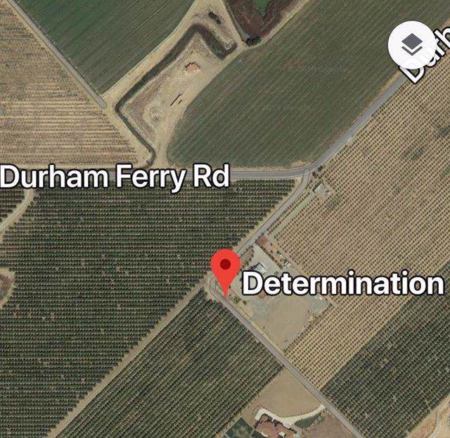 31901 Determination Drive - Photo 1