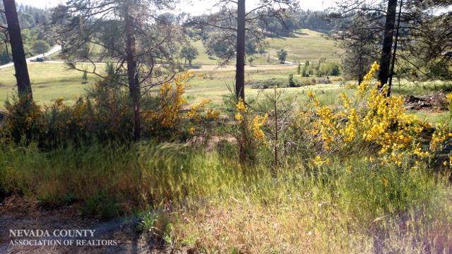 13635 Anna Ridge Court - Photo 1