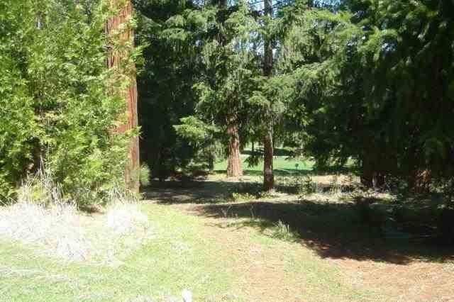 26441 Golf Links Drive - Photo 1