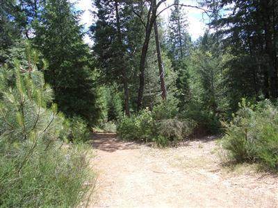 0 Buffalo Hill Court - Photo 1