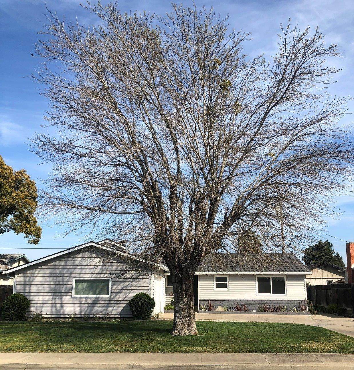 2305 Tokay Avenue - Photo 1