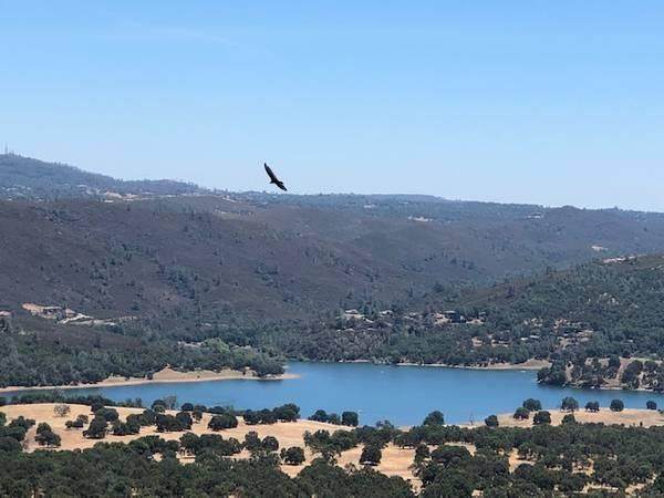 0 Rattlesnake Bar Road - Photo 1