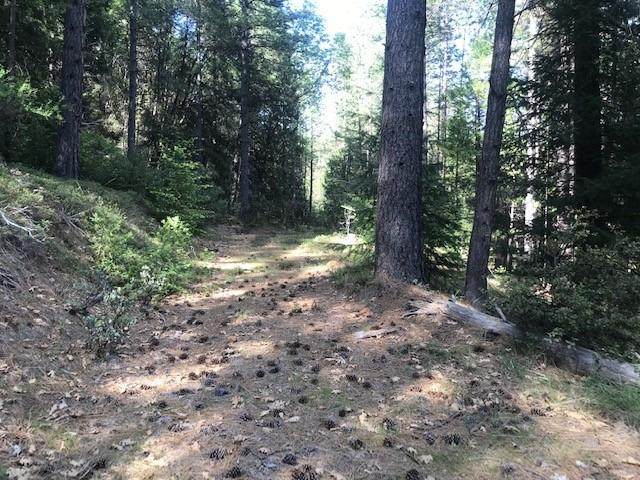 0 Tin Ranch Road - Photo 1