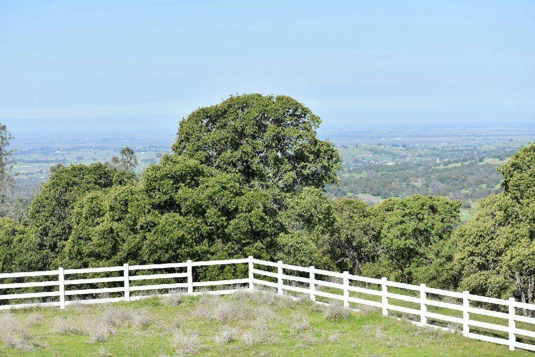 7145 Superior Town Road - Photo 1