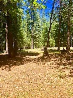 10730 Jasper Agate Court - Photo 1