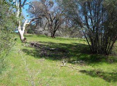 6866 Mosquito Road - Photo 1
