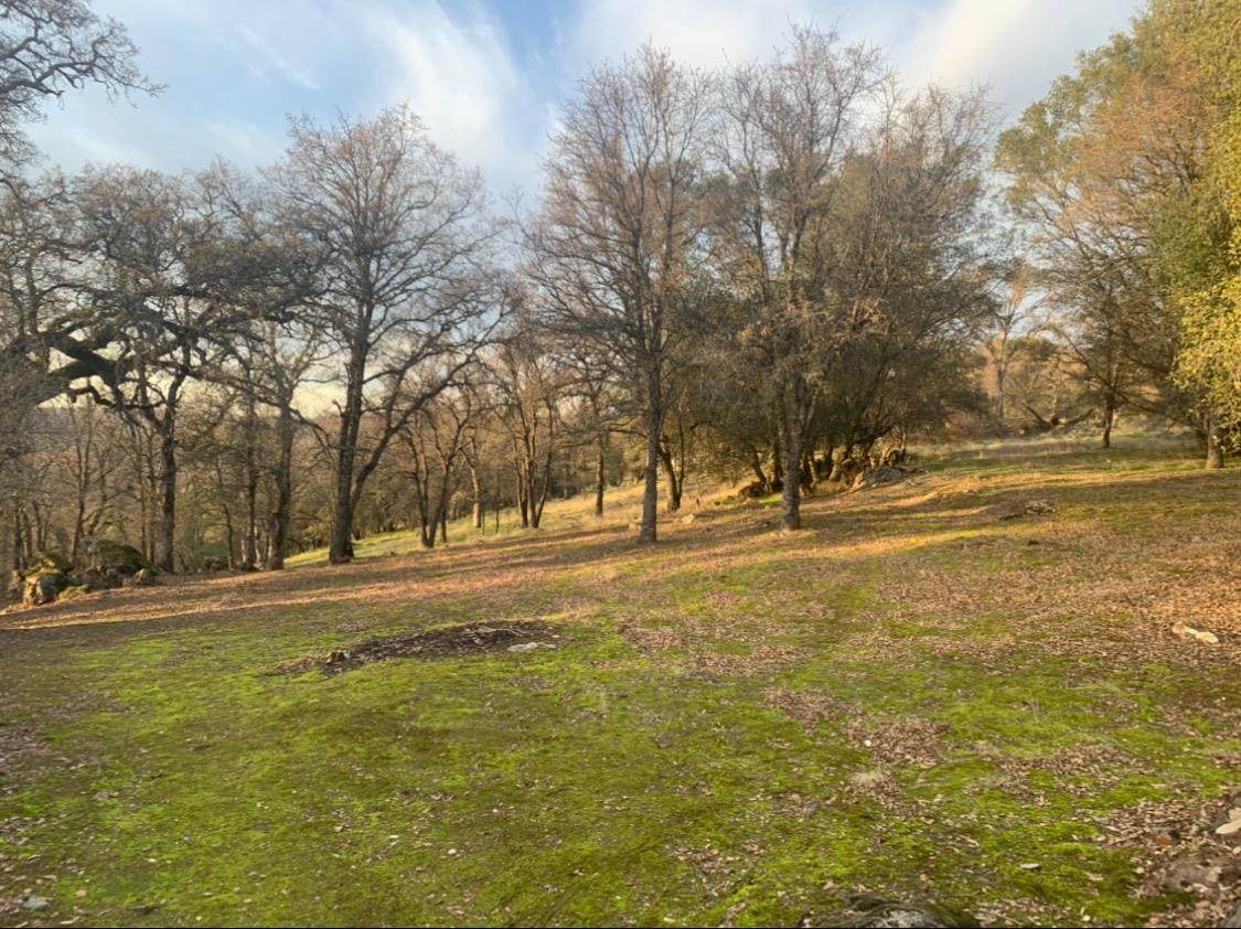 0 Luneman Lane - Photo 1