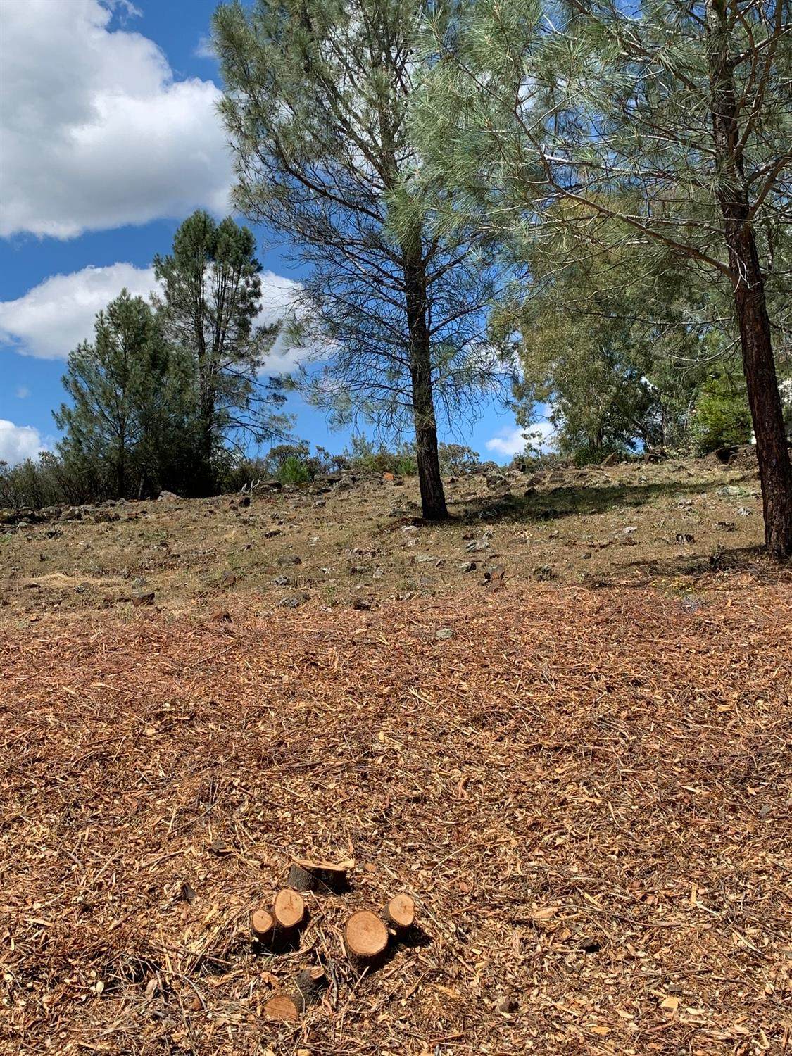 0 Royce Drive - Photo 1