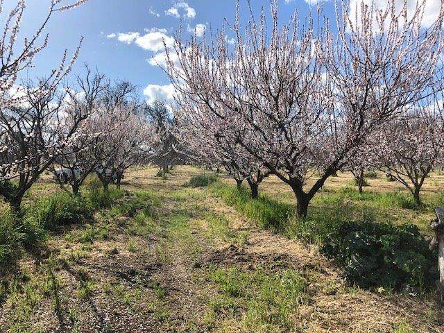 0 Feedranchs Dr - Photo 1