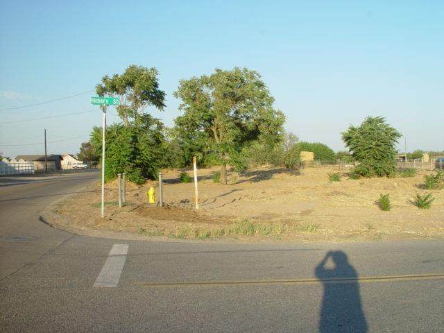 22487 Hickory Street - Photo 1