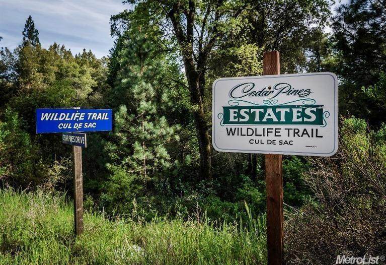 26 Wildlife Trail - Photo 1