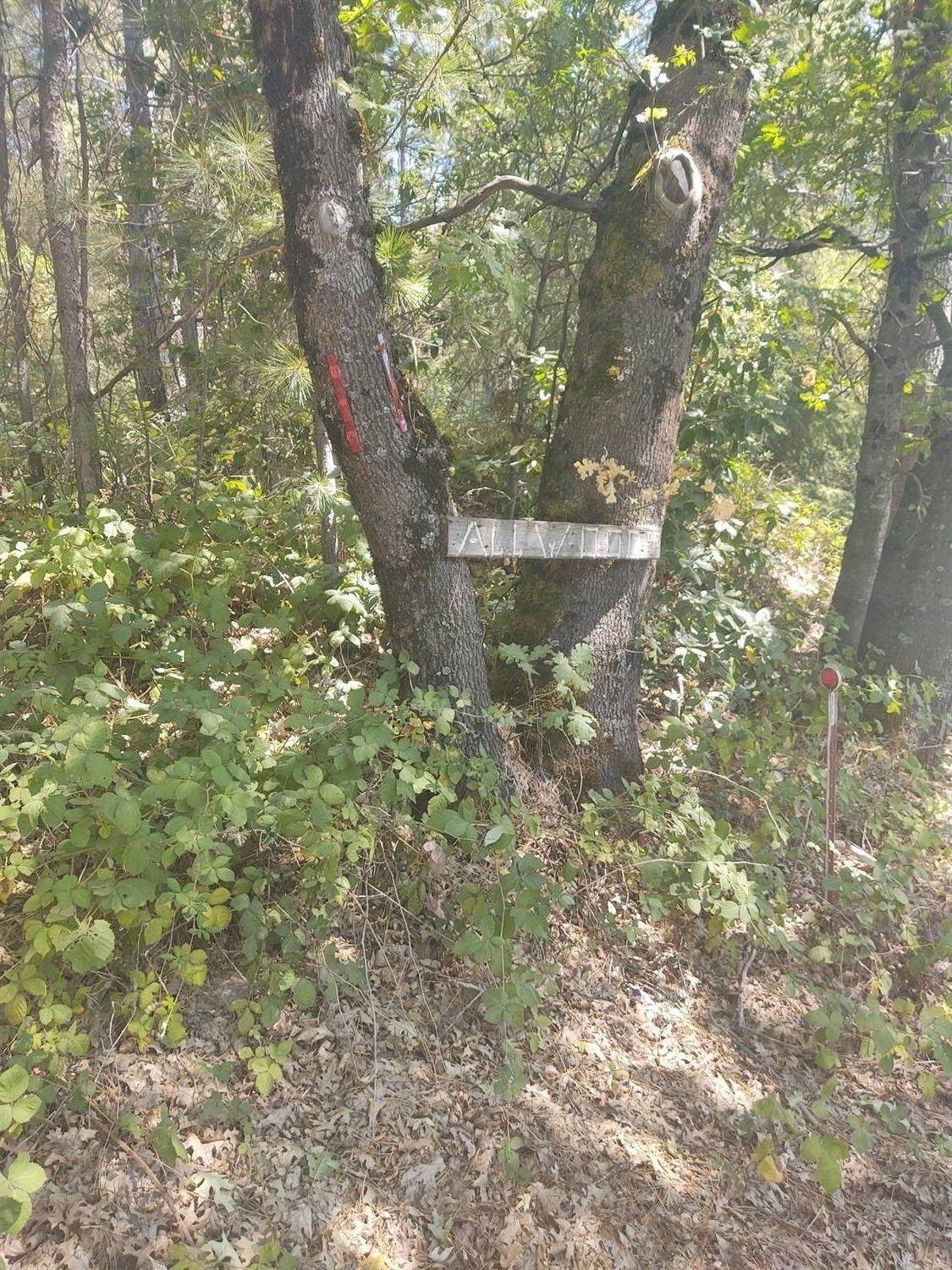0 Allwood Drive - Photo 1