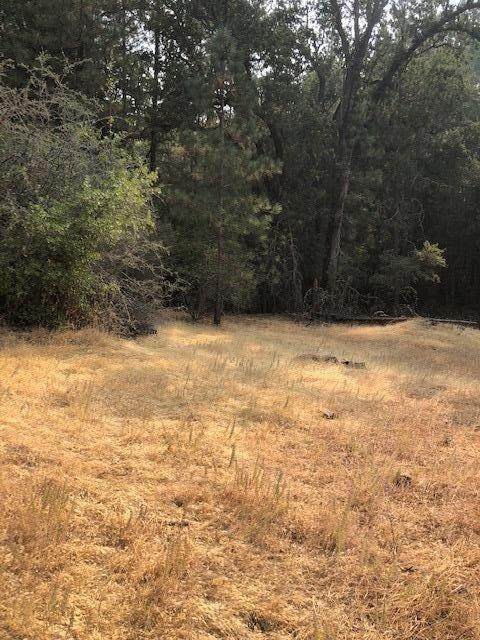 0 Cedar Pines Drive - Photo 1
