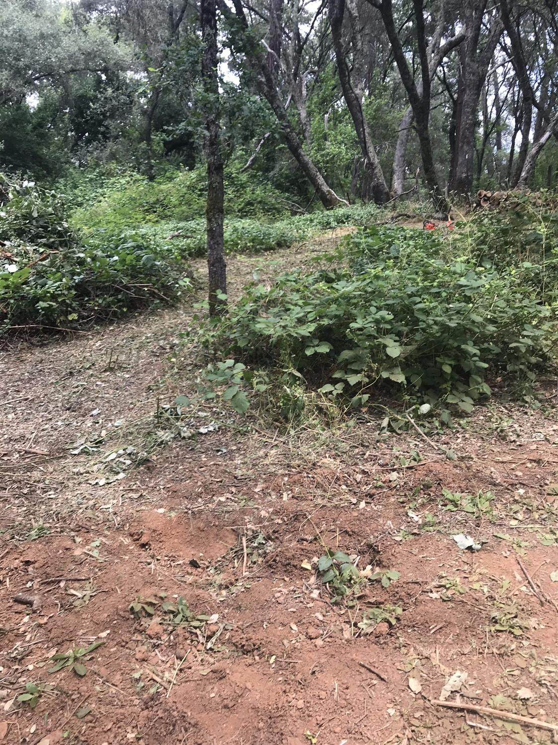 0 Millertown Road - Photo 1