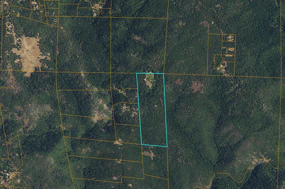 0 Bear Creek Road - Photo 1