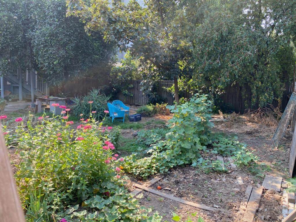 920 Tomato Alley - Photo 1