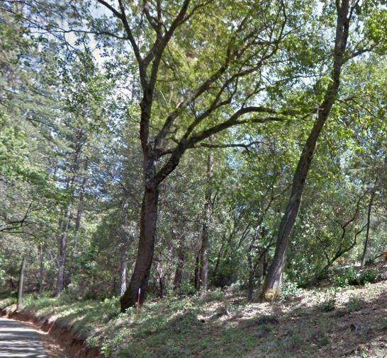 0 W Clinton Road - Photo 1