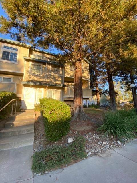 7404 Kallie Kay Lane - Photo 1